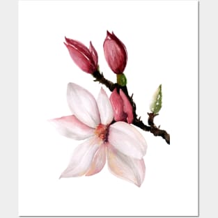 Magnolia Branch Posters and Art